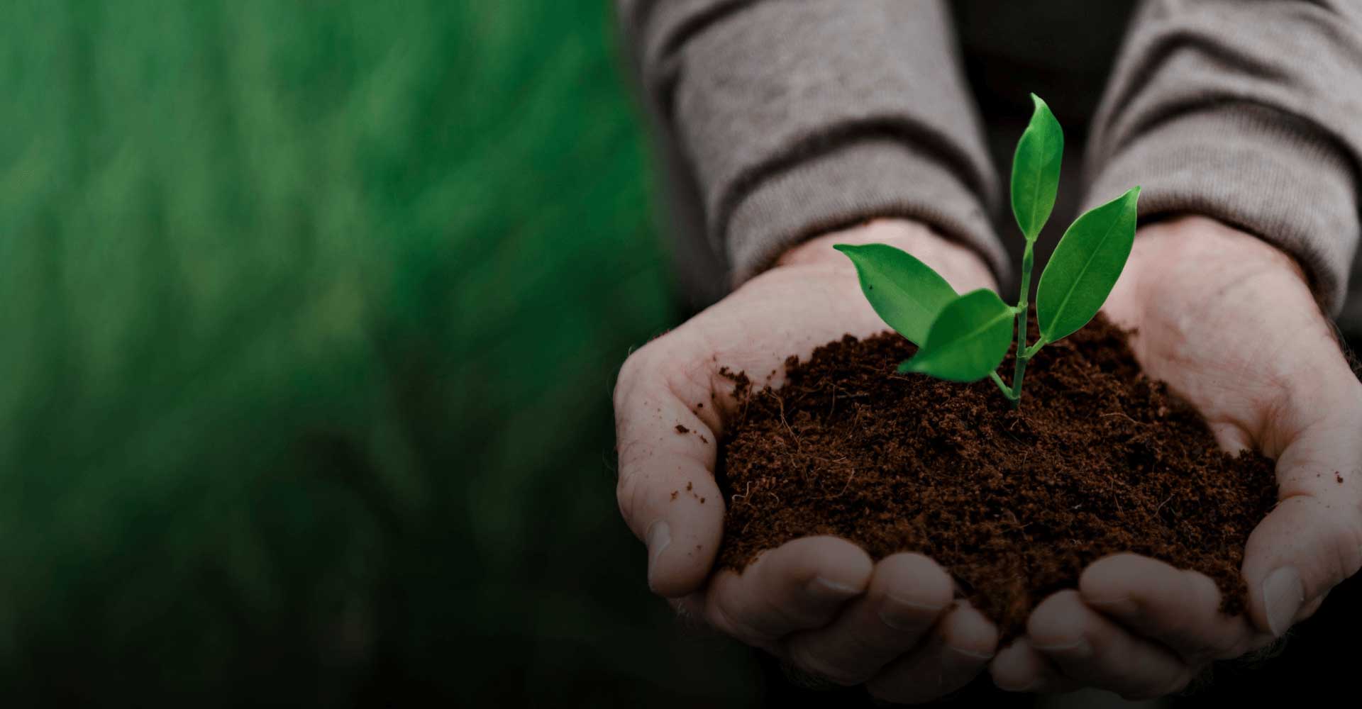 Our Sustainability Purpose Innovating Responsibly Growing Sustainably