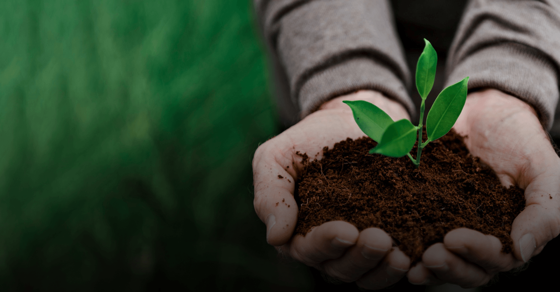 Our Sustainability Purpose Innovating Responsibly Growing Sustainably